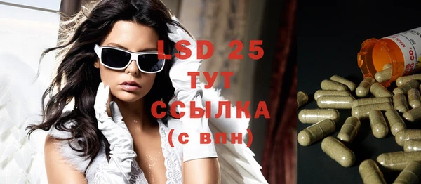 спайс Ельня