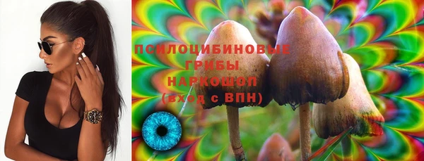 спайс Ельня