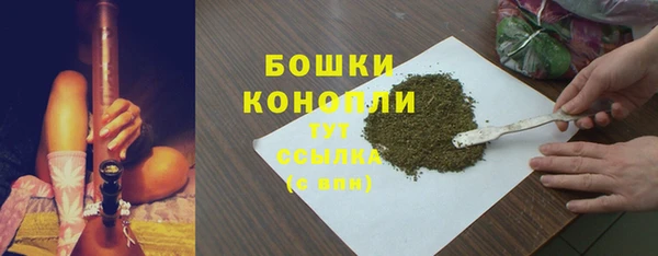 спайс Ельня