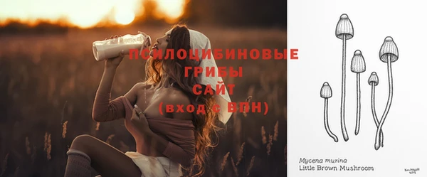 герыч Елизово