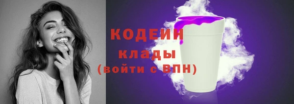 спайс Ельня