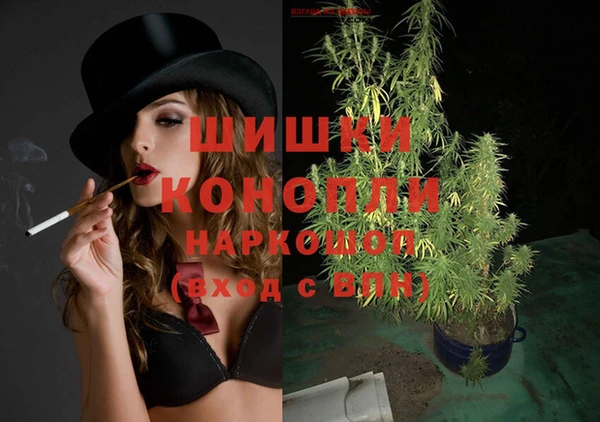 спайс Ельня