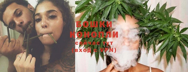 спайс Ельня
