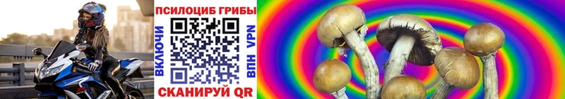 Купить где  Карабаш  Галлюциногенные грибы MAGIC MUSHROOMS 